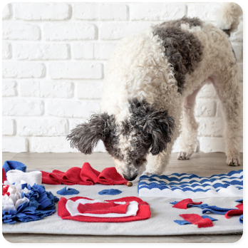 TAPPETINI ASSORBENTI