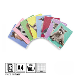 PIGNA DOLCI CUCCIOLI 0Q QUADERNO A QUADRETTI CON MARGINI