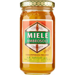 AMBROSOLI MIELE MILLEFIORI 250 GR.