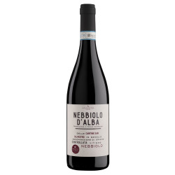 SAN SILVESTRO NEBBIOLO D'ALBA DOC 13.5° 75 CL.