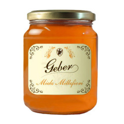 GEBER MIELE MILLEFIORI 500 GR.
